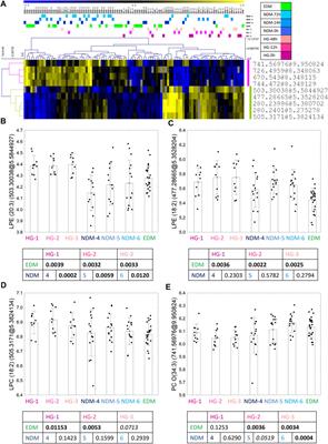 Multi-Timepoint Metabolic Fingerprinting of a Post-Episode Period of Hypoglycemia and Ketoacidosis Among Children With Type 1 Diabetes